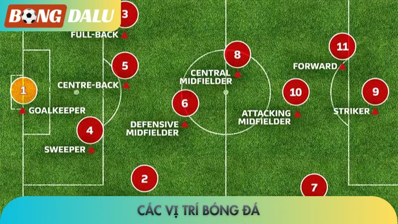 Các vị trí trong bóng đá