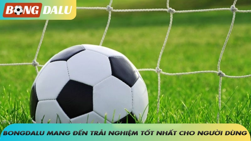 Bongdalu cố gắng không ngừng nghỉ để mang đến trải nghiệm tốt nhất cho người dùng