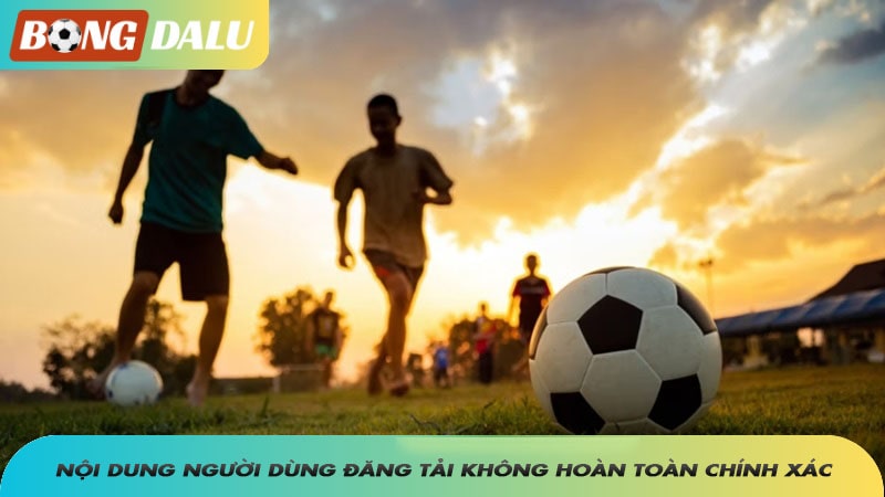 Miễn trừ trách nhiệm 2 Nội dung người dùng đăng tải trên trang web không hoàn toàn chính xác