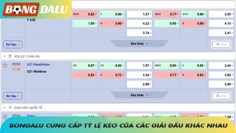 Chúng tôi cung cấp tỷ lệ kèo của các giải đấu khác nhau